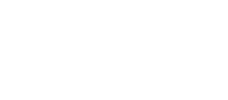 Protel