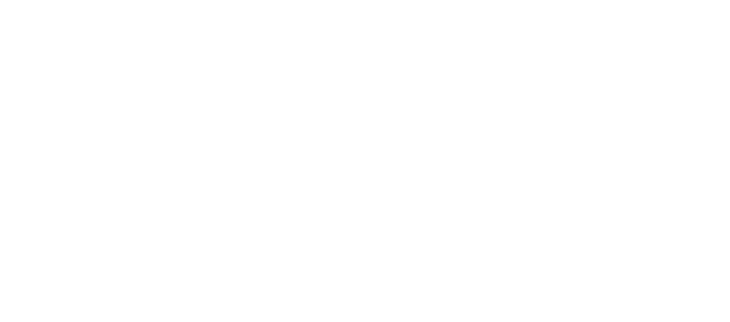 iDeaS